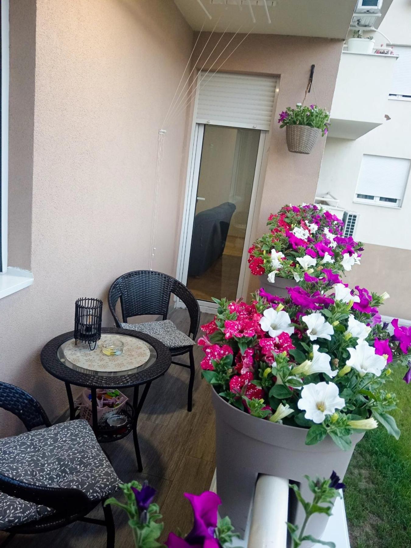 Apartman Lara Пирот Экстерьер фото
