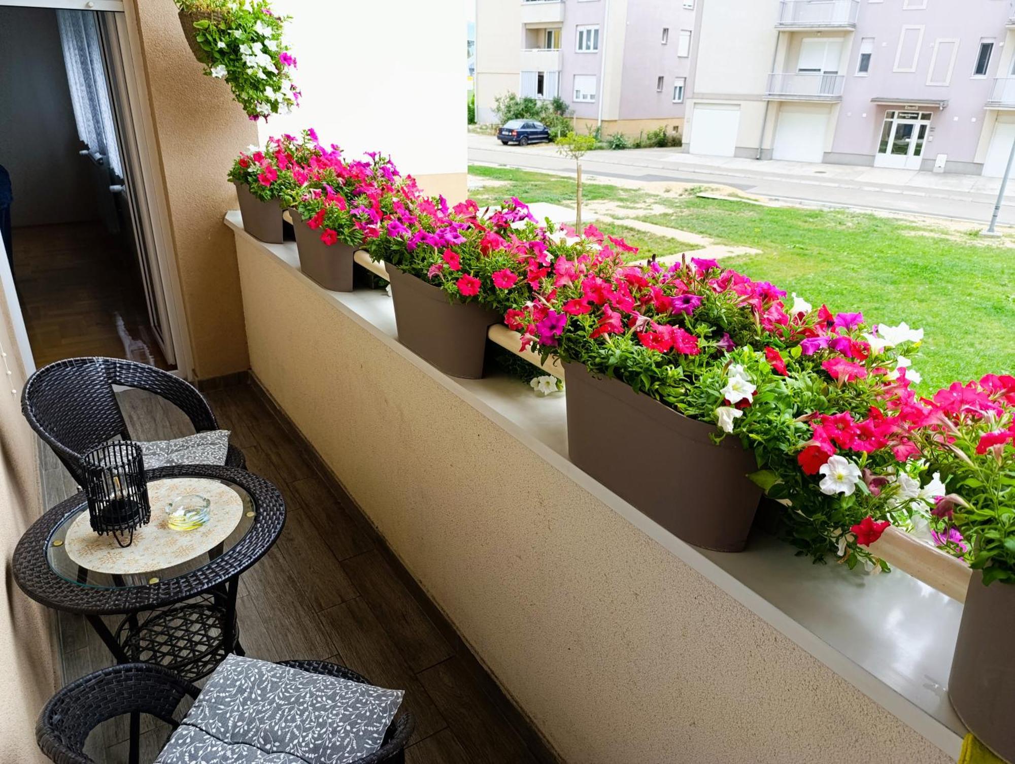 Apartman Lara Пирот Экстерьер фото